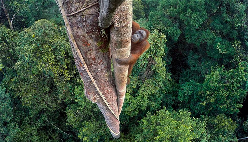 Wildlife Photographer of The Year Exhibition