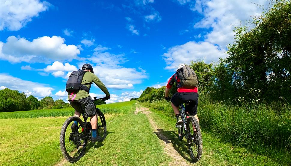 South Downs Epic E-bike Adventure with New Forest Cycling Tours