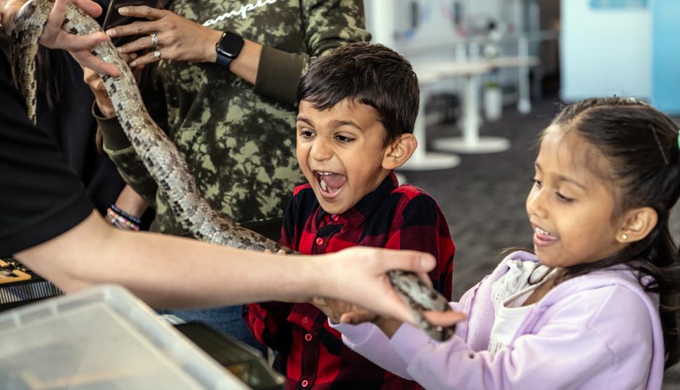 Science Explained: Not So Creepy Critters at Winchester Science Centre & Planetarium