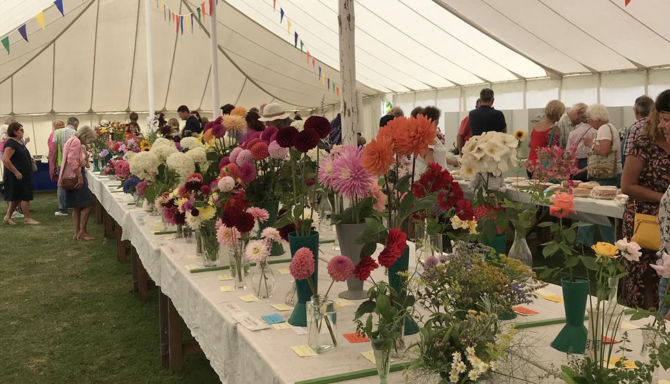 Damerham Fair and Horticultural Show