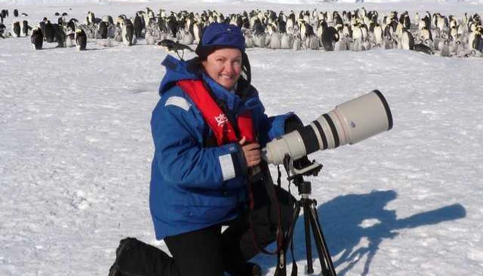 Sue Flood: Emperor - The Perfect Penguin at Gilbert White's House
