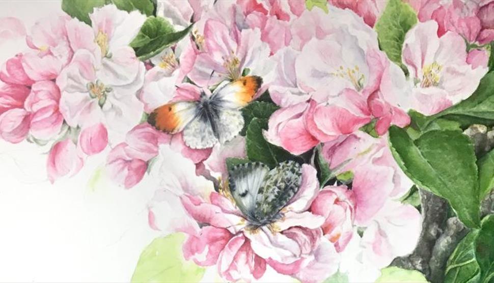 Botanical Art Class at Gilbert Whites House
