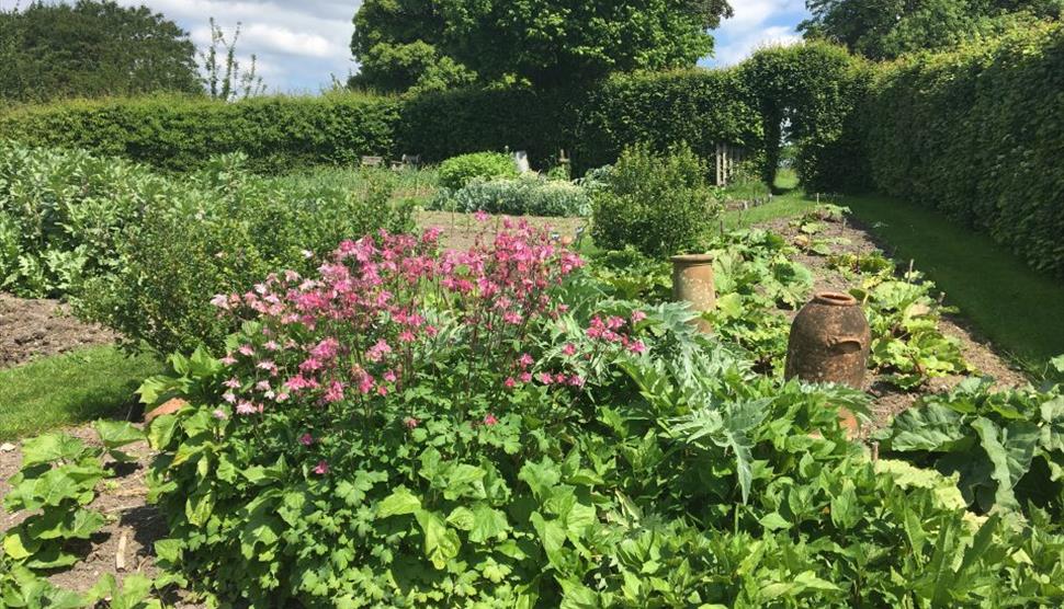 Spring Kitchen Garden Course at Gilbert Whites House
