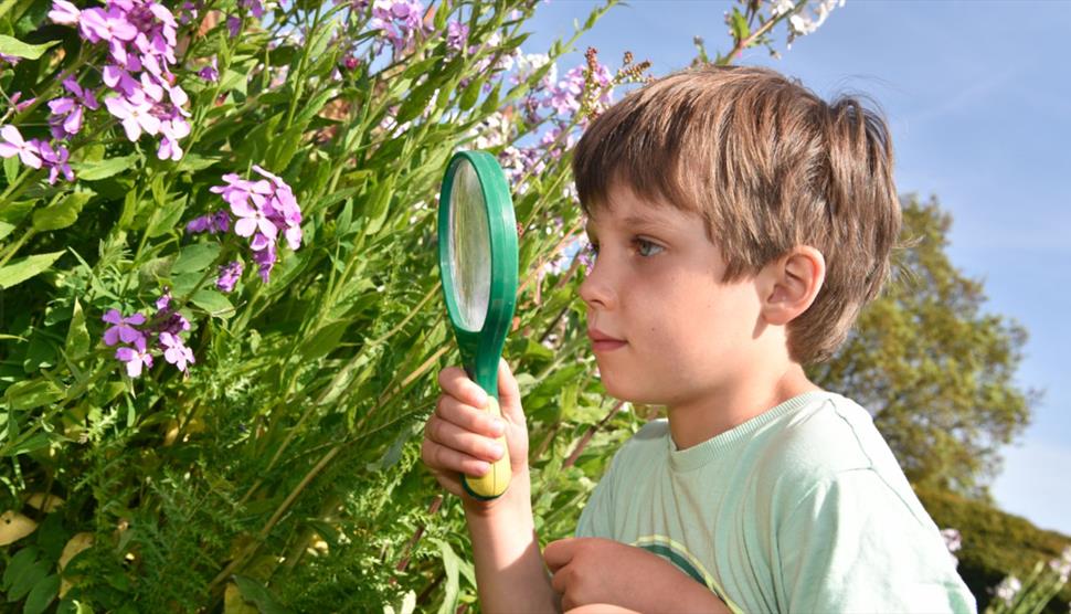 A child looking at purple flowers through a magnifying glass