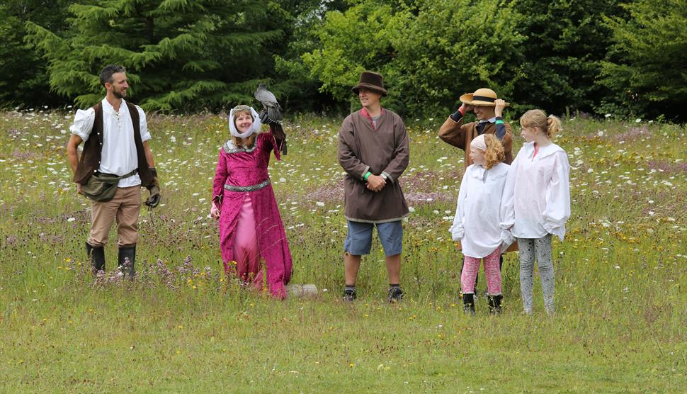 Join in medieval display, The Sarson Falconer