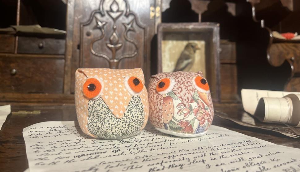 Owl Pin Cushion Sewing Workshop at Gilbert White's House & Gardens