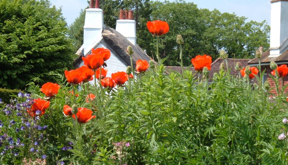 Creating a Cottage Garden at Gilbert White's House