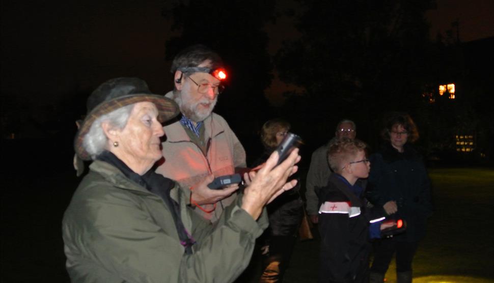 Family Bat Walk