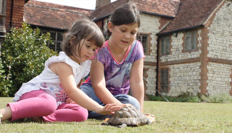 Two children in front of the house with a tortoise