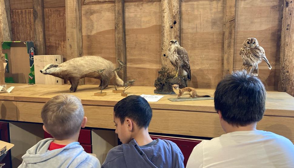 Three children sketching animal specimens