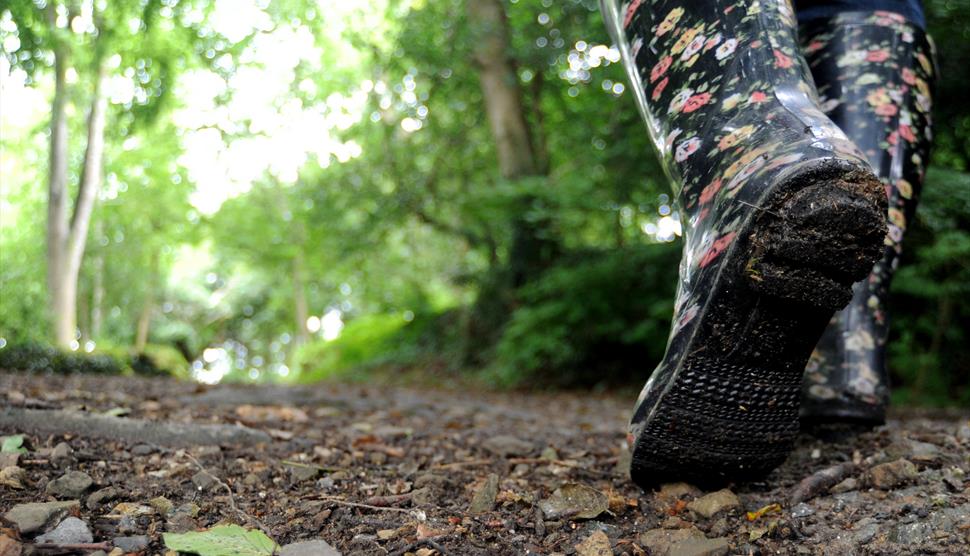 A ground-level shot shows someone's lower leg in wellies striding down a woodland path.