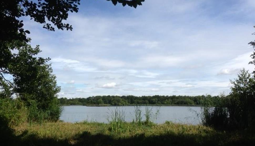 Fleet Pond Circular Walks