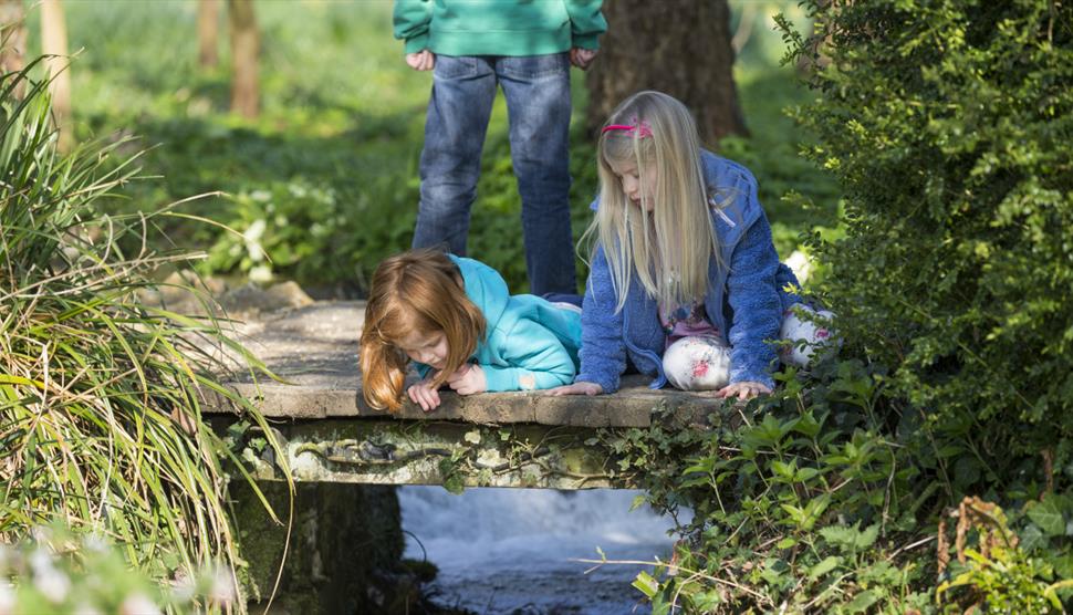 May Half Term at Mottisfont: Garden Detectives