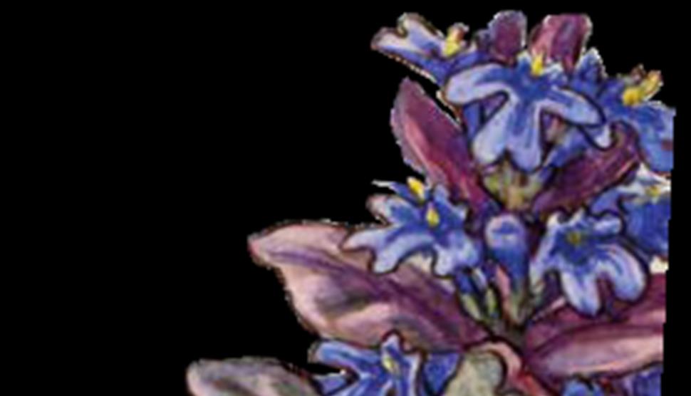 Garden Botanicals Tasting Event at Sir Harold Hillier Gardens