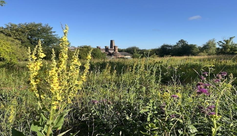 Twyford Waterworks Open Day