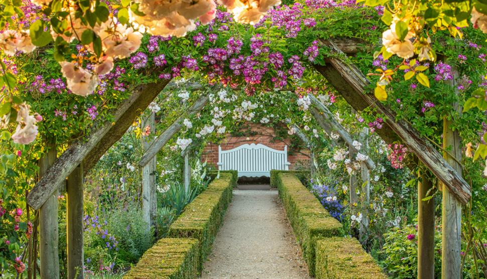 Rose season at Mottisfont
