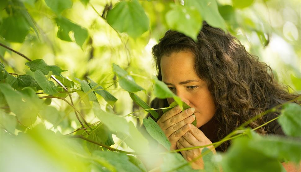 Forest Bathing at Sir Harold Hillier Gardens
