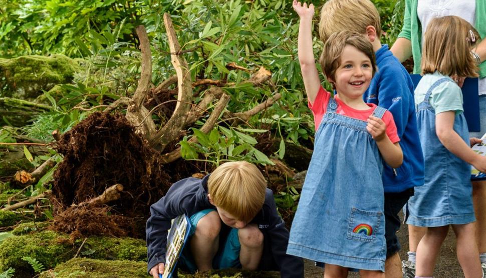 May half-term trail at Hinton Ampner
