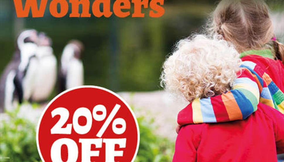 Winter Wonders at Birdworld and save 20%