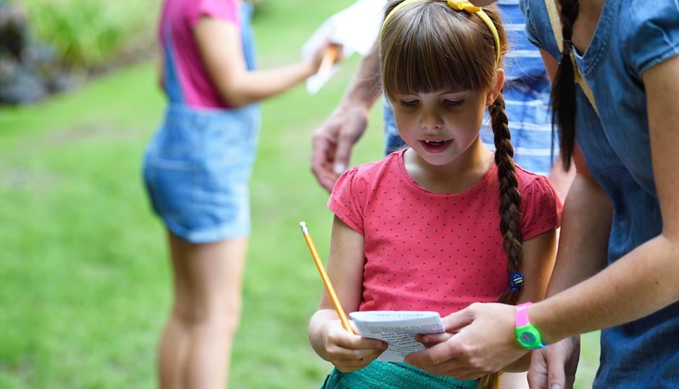 Little People, BIG DREAMS® Exhibition and Trail at Mottisfont