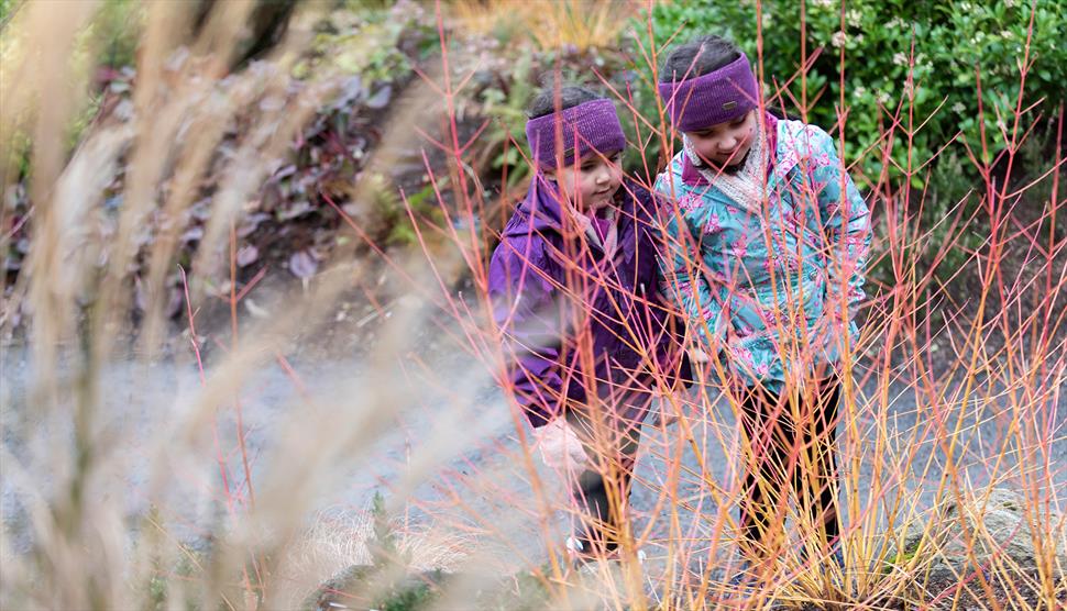 February Half Term: Giddy Gallops at Mottisfont