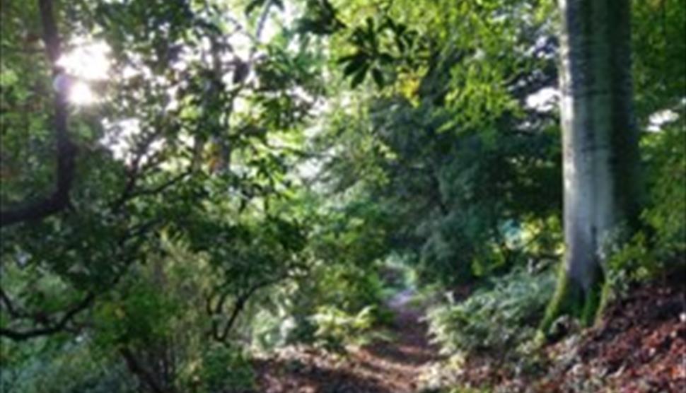 Trees in Winter Special Plant Walk at Sir Harold Hillier Gardens