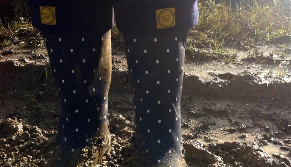 Sensory Welly Walk
