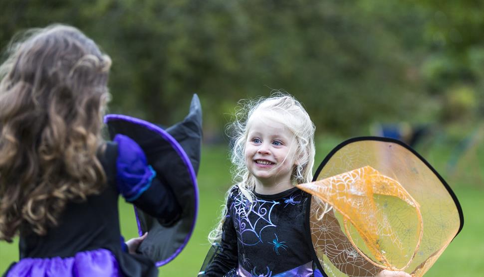 Two girls aged around six stand on grass looking at each other wearing witch Halloween costumes.