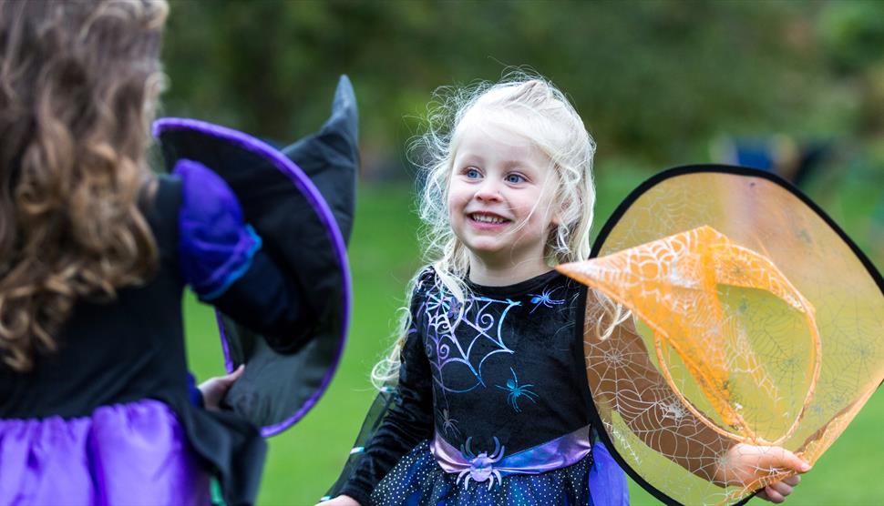 Witch's Halloween recipe trail at The Vyne