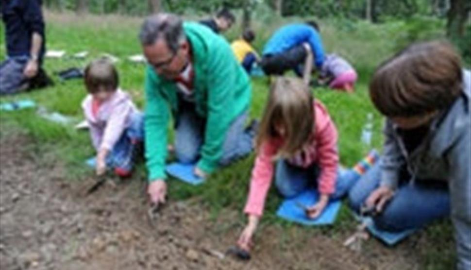 Family Archaeology – Saxons at Sir Harold Hillier Gardens