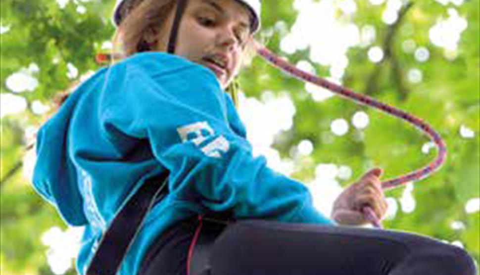 Climb a Tree at Sir Harold Hillier Gardens