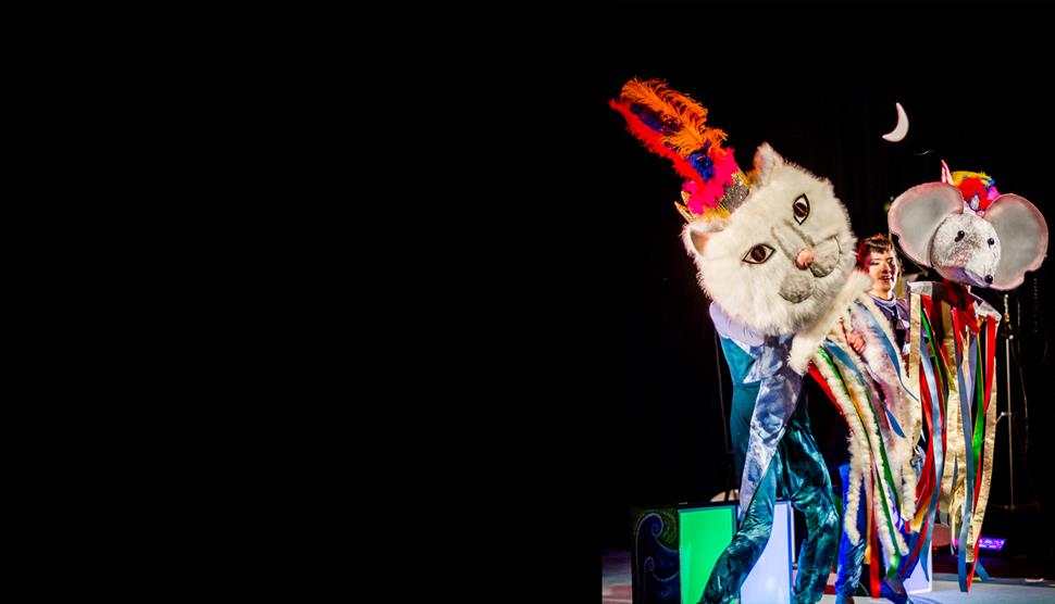 Moonbeam on a Cat's Ear at NST City