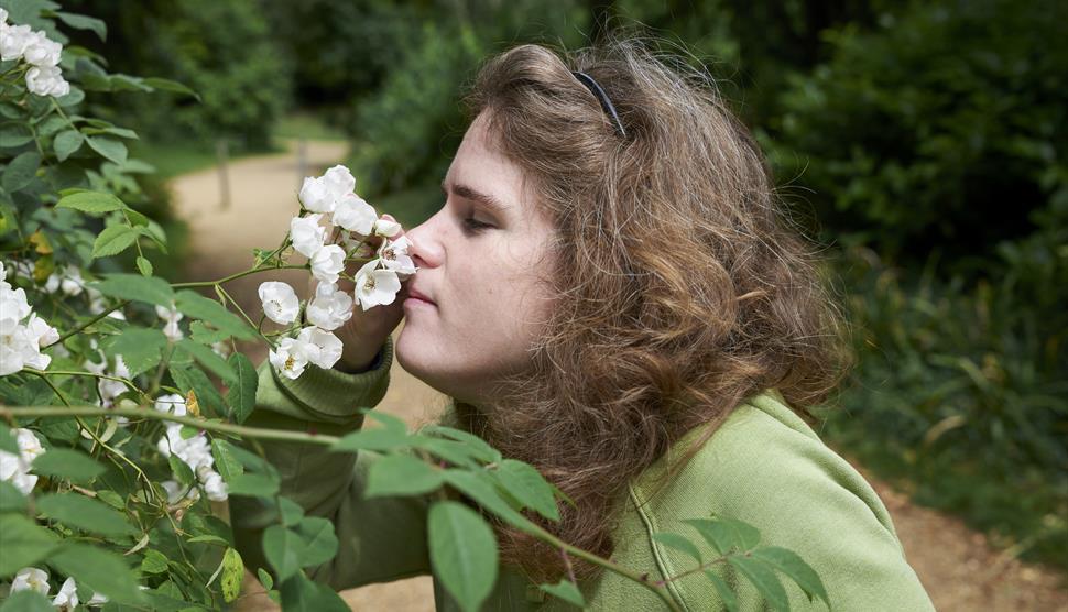 Inclusive sensory trail at The Vyne