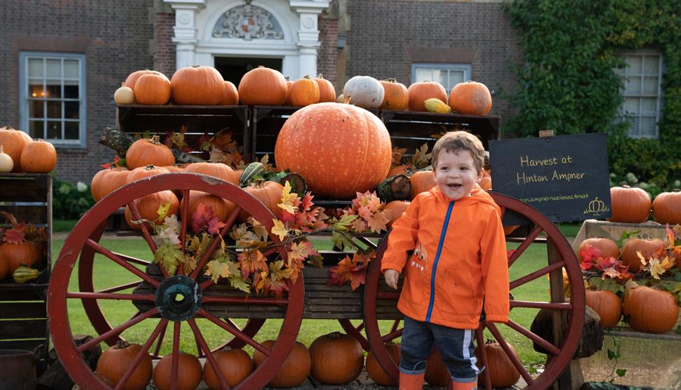 Pumpkin displays at Hinton Ampner