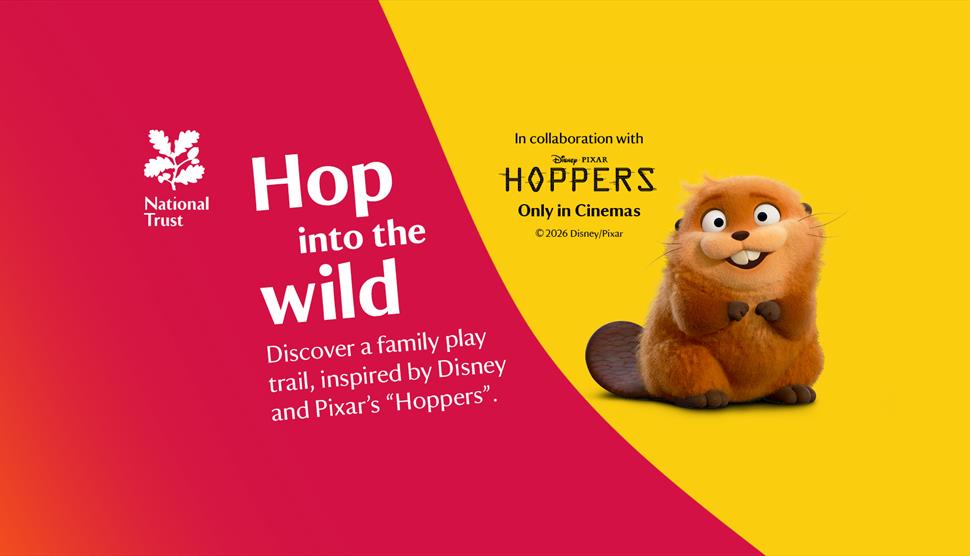 On the right side, a smiling animated beaver-like character from Disney Pixar's Hoppers sits against a yellow background, alongside the text 'In colla