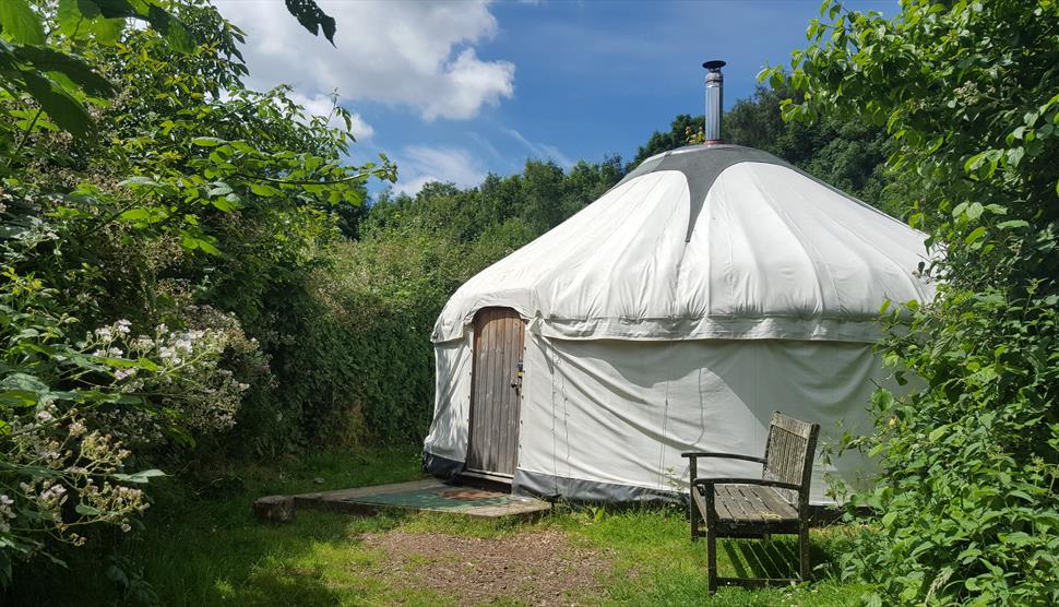 The Sustainability Centre Campsite