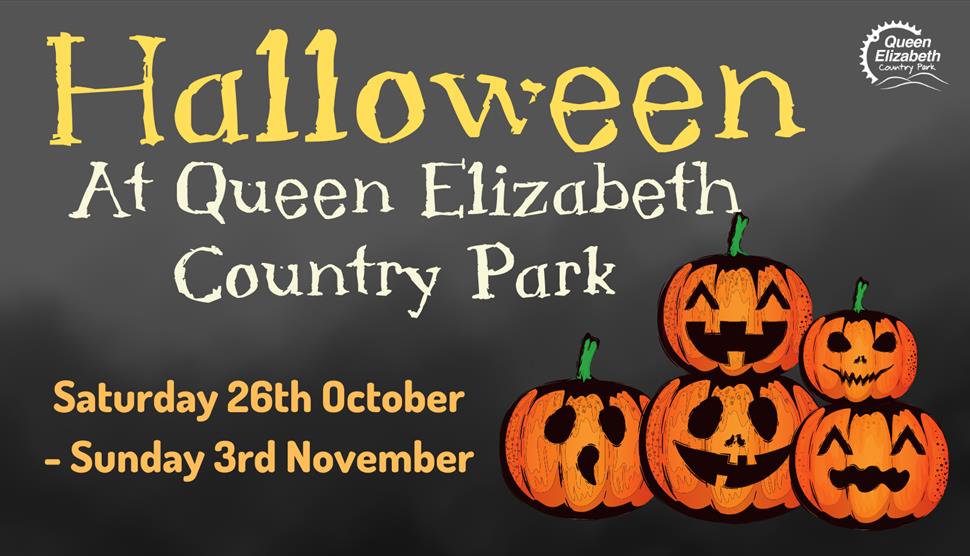 Halloween at QECP