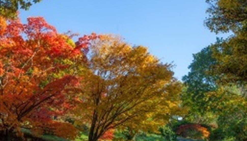 Gardener's Breakfast at Sir Harold Hillier Gardens