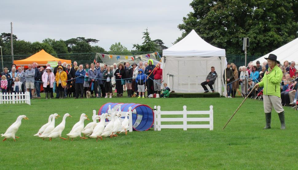 Emsworth Show