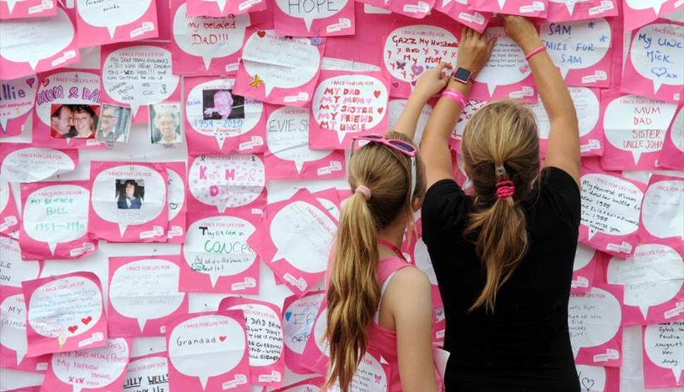 Basingstoke Race for Life 2019