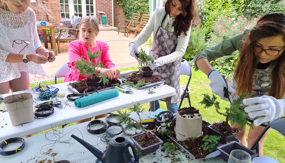 Create a Bonsai Experience at Streamside Trees
