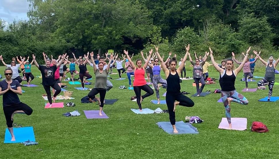 Park Yoga