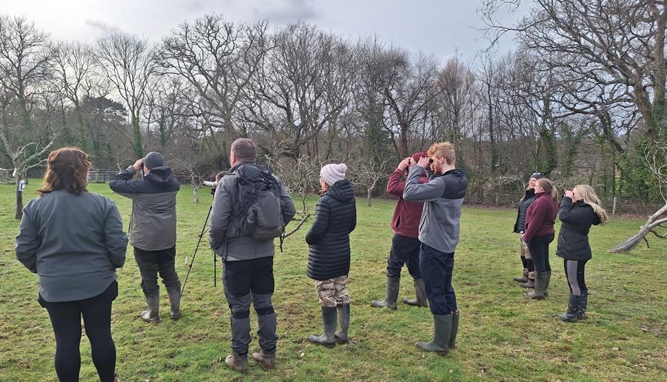 A group of 9 people birdwatching with binoculars and a telescope