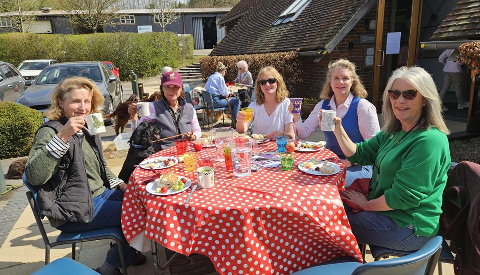 Soup in the sunshine