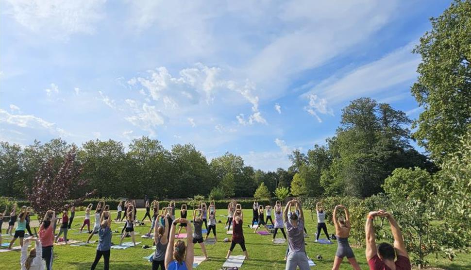 Park Yoga Havant