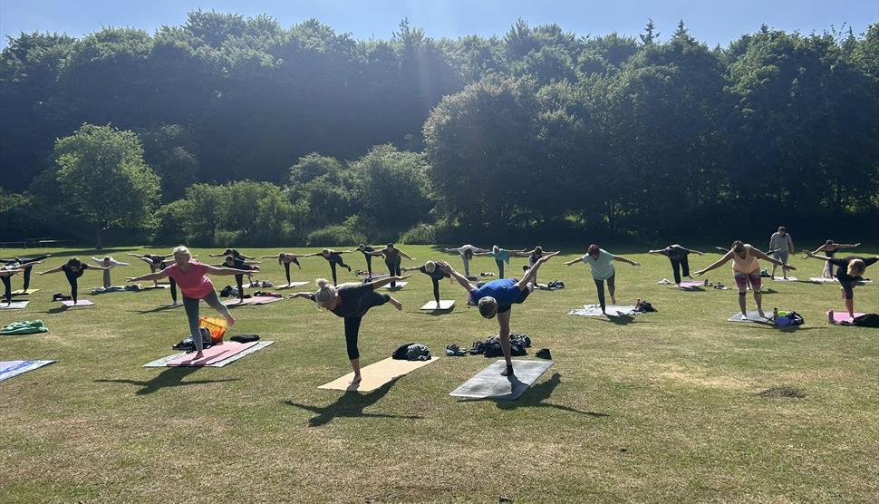 Park Yoga Horndean