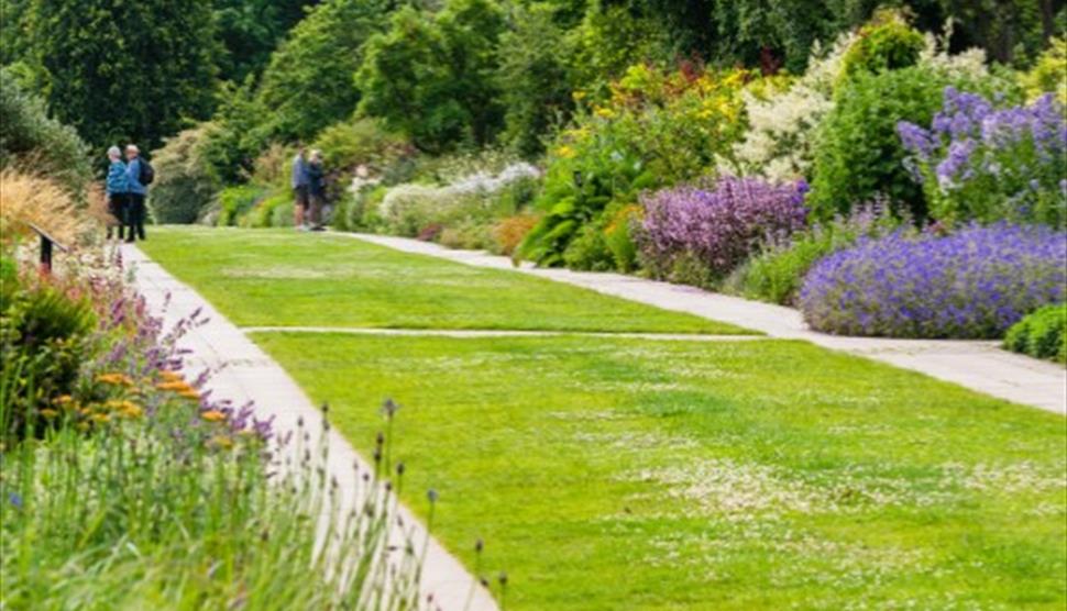 Perennial Borders Masterclass at Sir Harold Hillier Gardens