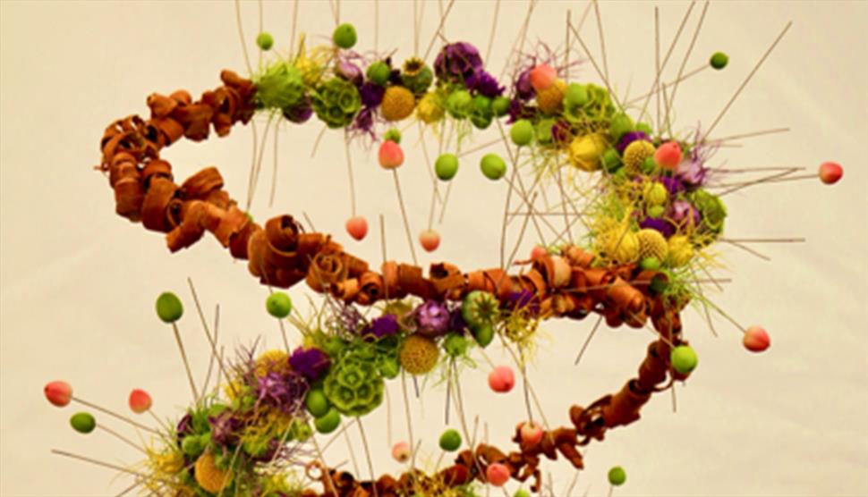 NAFAS Flower Show at Sir Harold Hillier Gardens