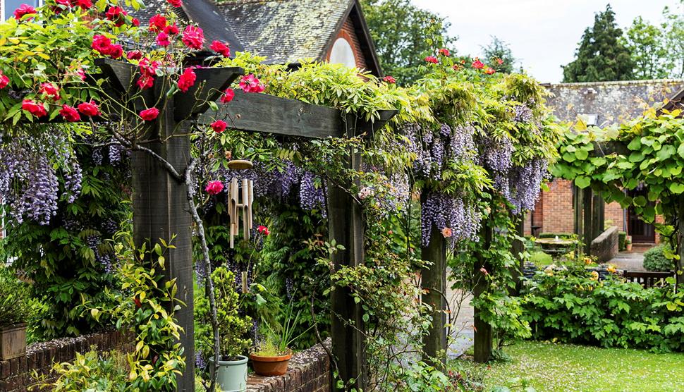 Lymington Open Gardens 2026 Photo: © Colten Care