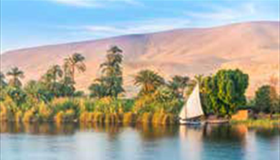 Egyptian Trees - Guided Tour at Sir Harold Hillier Gardens